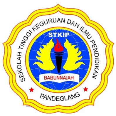 Logo Stkip Babunnajah Pandeglang